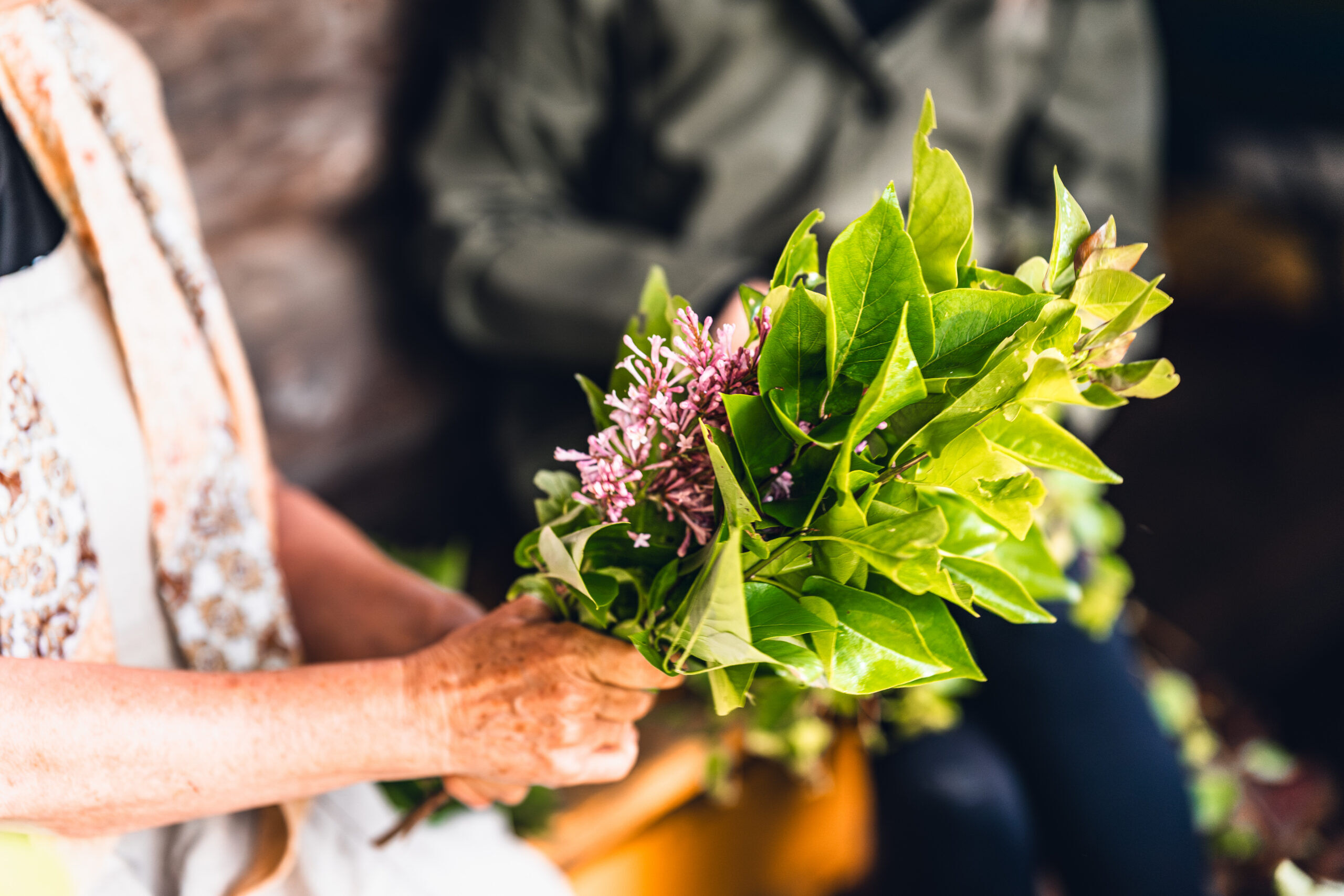 Choosing Plants for Your Sauna Whisk